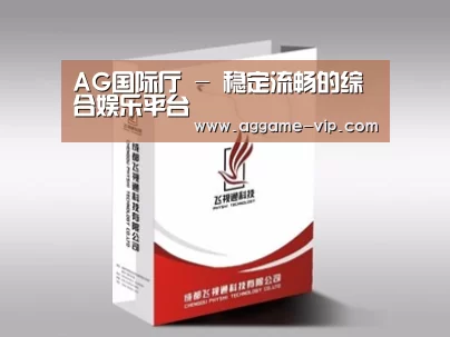 项目名称十三