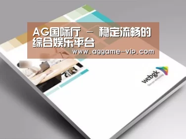 项目名称九
