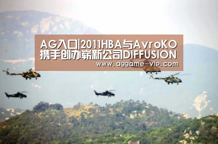 AG入口|2011HBA与AvroKO携手创办崭新公司DIFFUSION(图4) AG入口