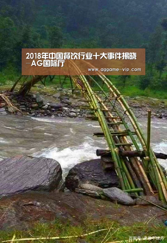 2018年中国餐饮行业十大事件揭晓-AG国际厅(图2) AG入口