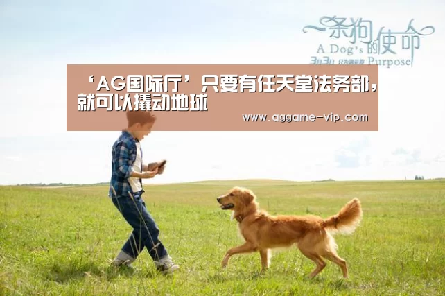 ‘AG国际厅’只要有任天堂法务部,就可以撬动地球(图2) AG国际厅