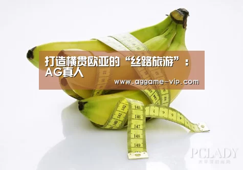 打造横贯欧亚的“丝路旅游”:AG真人(图1) AG入口